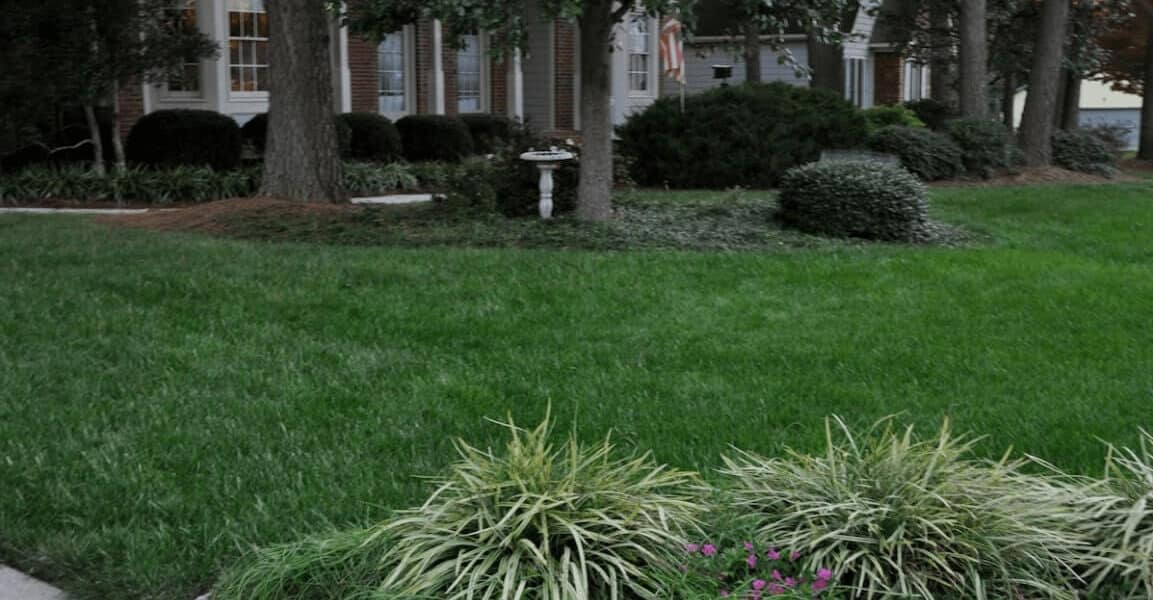 Raleigh lawncare services by GrassMaster of Wake County