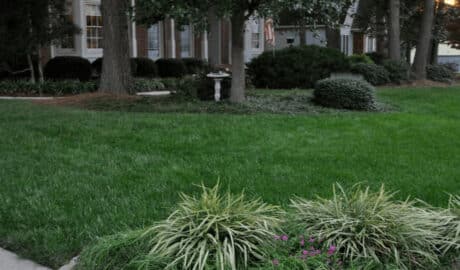 Raleigh lawncare services by GrassMaster of Wake County