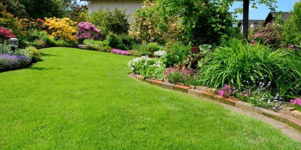 Raleigh landscaping and maintenance services