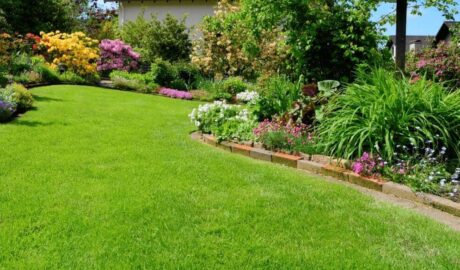 Wake County lawn maintenance with rock border