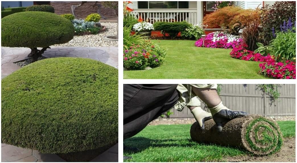 Three landscapes with manicured landscape ideas, sod