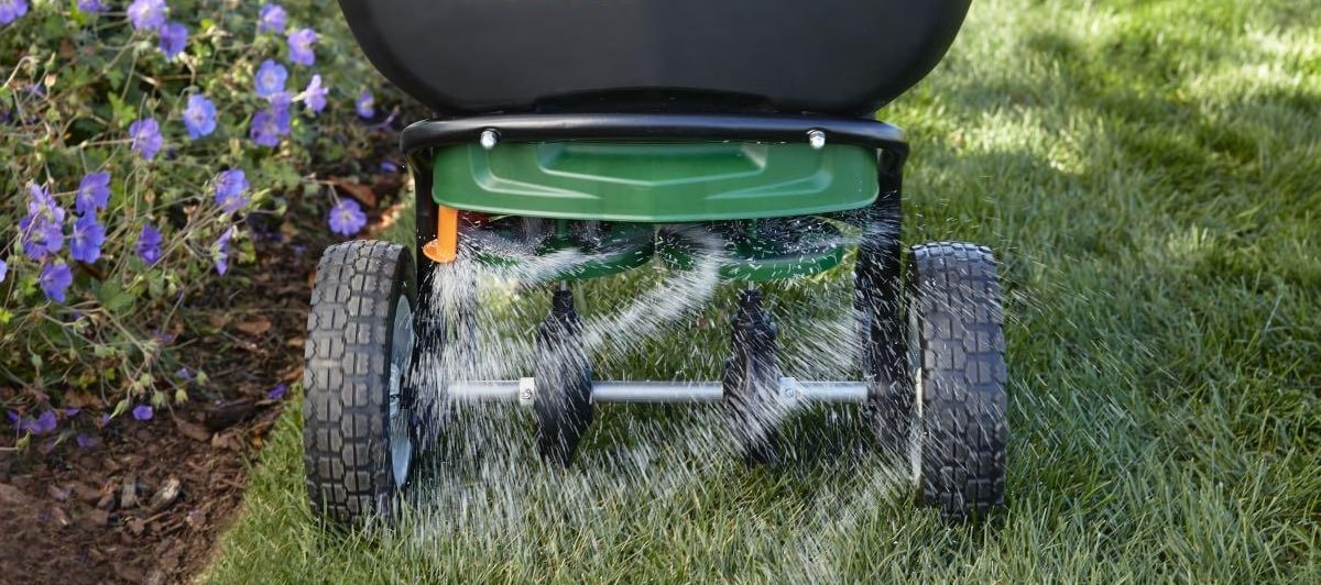 Fertilize for winter lawn maintenance