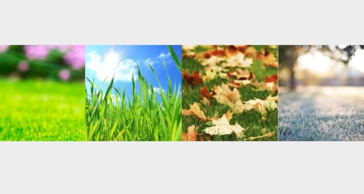 raleigh all season lawn care GrassMaster of Wake County