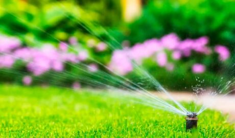 Seasonal lawn care by GrassMaster of Wake County