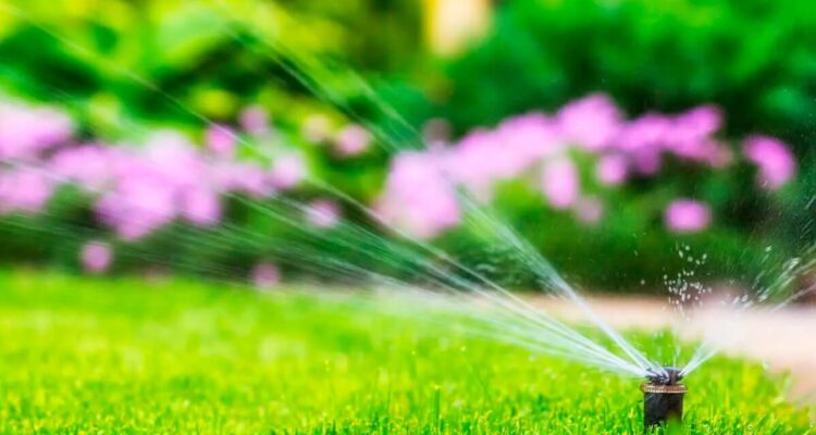 Watering after overseeding a lawn