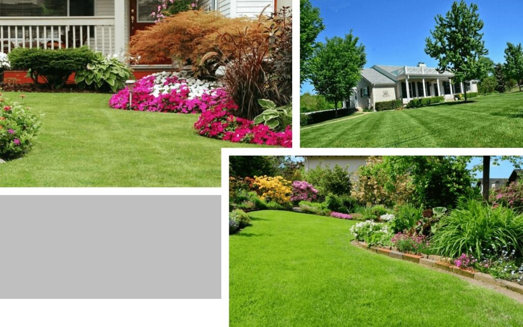 lawn maintenance Raleigh by GrassMaster of Wake County