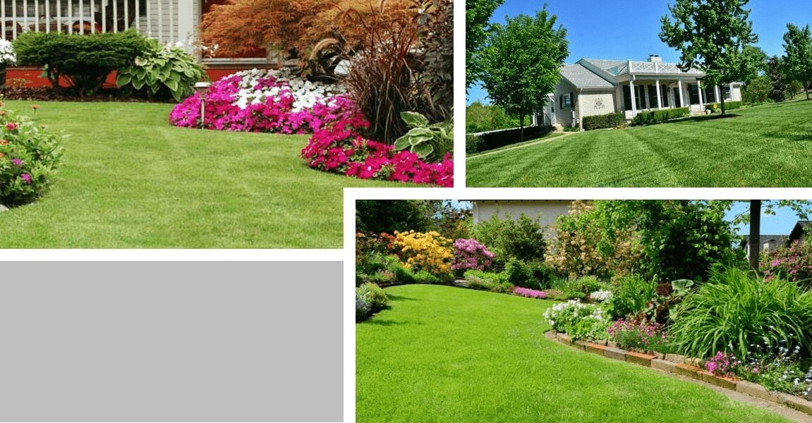 lawn maintenance Raleigh by GrassMaster of Wake County
