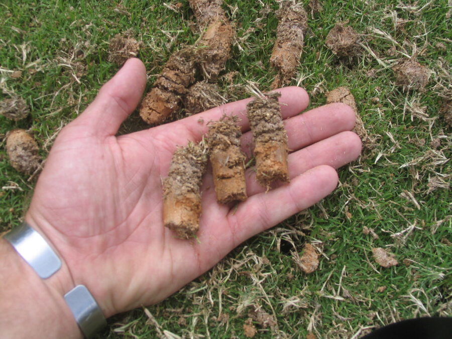 Lawn Care for Beginners; 10 Essential Basics 7 Lawn care for beginners and lawn aeration with pellets