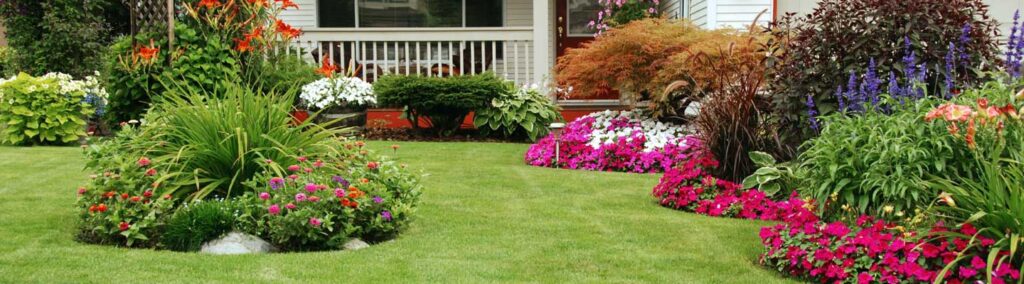 Raleigh Lawn Care Top Dressing