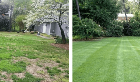 Landscaping images sod installation - GrassMaster of Wake County