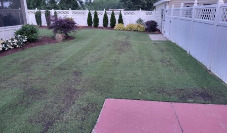 Raleigh lawn care simages by GrassMaster of Wake County
