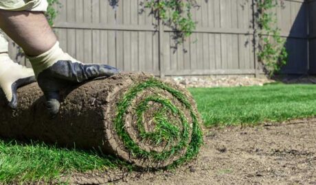 Landscaping images sod installation - GrassMaster of Wake County