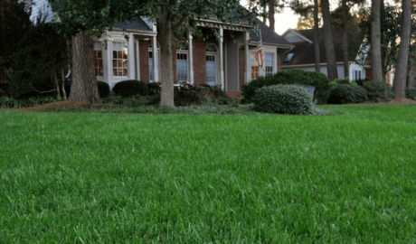 Raleigh lawncare services - GrassMaster of Wake County