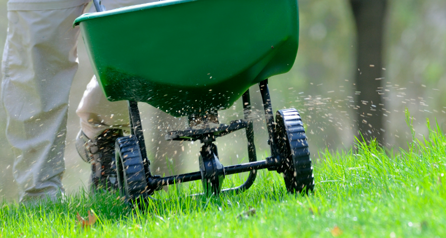 How to overseed a lawn with spreader