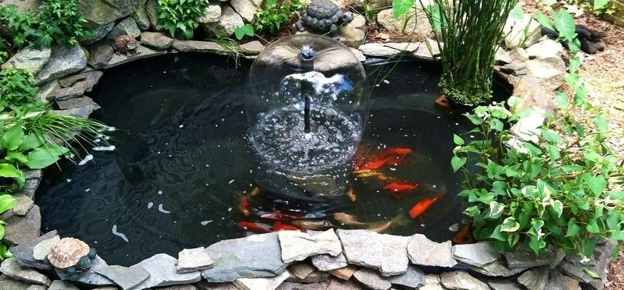 water landscaping koi pond GrassMaster of Wake County