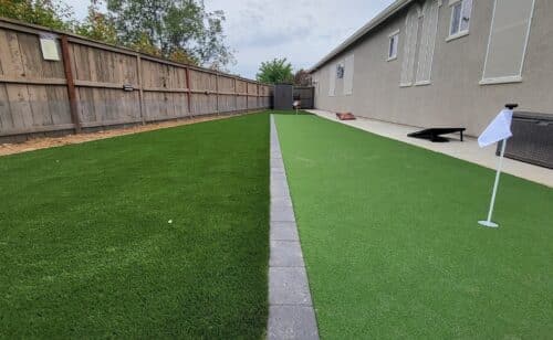 Turf Comparison