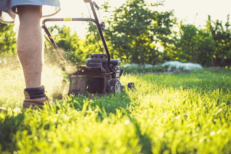 Lawn Care for Beginners; 10 Essential Basics 5 mowing grass with push lawnmower