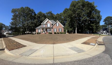 Sod Before